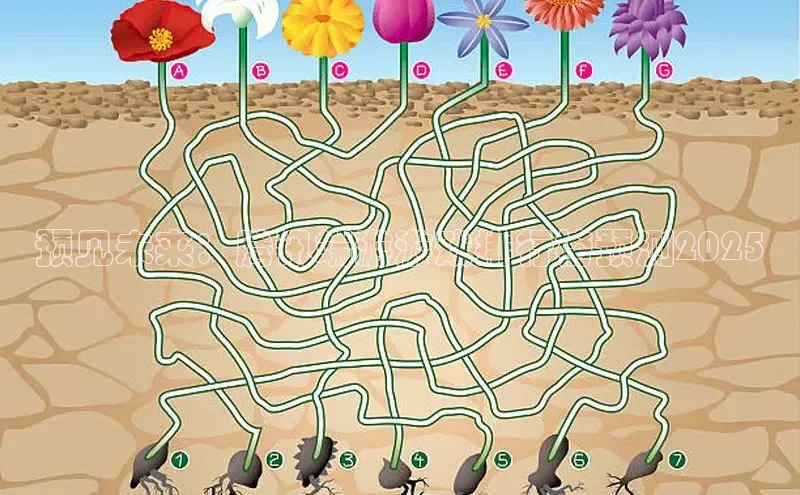 lehu66游戏平台入口